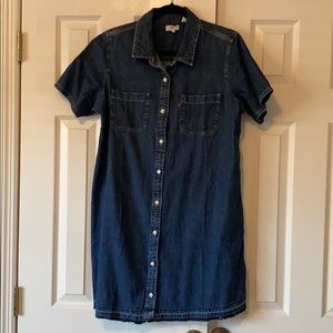 COPY - Denim Dress